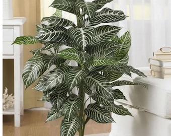 3FT Artificial Zebra Plant – Silk Tropical Indoor Faux Plant