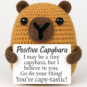 May include: A crocheted capybara plushie in shades of brown and tan, holding a white sign. The sign reads "Positive Capybara" and includes an inspirational message. The capybara has black button eyes and a friendly expression.