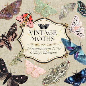 May include: A collection of vintage moth illustrations in various colors, including pink, blue, green, and black. The image features a central banner with the text "VINTAGE MOTHS" and "24 Transparent PNG Collage Elements".