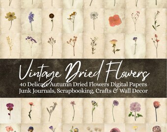 Vintage Dried Flower Digital Paper – 40 Botanical Prints (Digital Download)