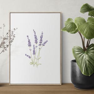 Puede incluir: Una impresión enmarcada con una ilustración de acuarela de ramitas de lavanda con flores moradas y tallos verdes. Un jarrón blanco con ramas secas y una planta en maceta con hojas verdes grandes están sobre una superficie de madera.