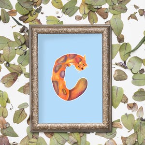 May include: A framed print featuring a whimsical illustration of the letter "C" in the shape of a cat. The cat is orange with brown spots, set against a light blue background. The frame is gold-toned, and the artwork is surrounded by dried leaves.