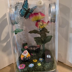 Jumping Spider Enclosure