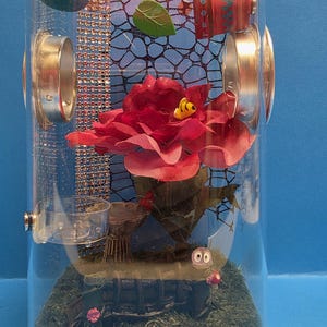 Jumping Spider Enclosure