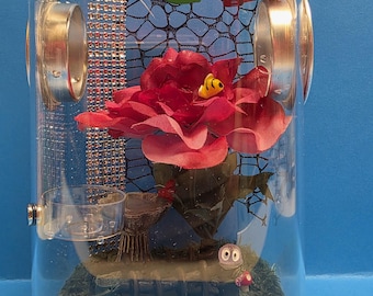 Jumping Spider Enclosure