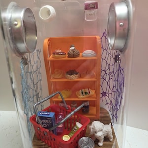 Jumping Spider Enclosure