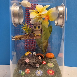 Jumping Spider Enclosure