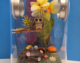 Jumping Spider Enclosure