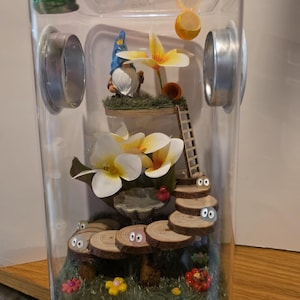 Jumping Spider Enclosure