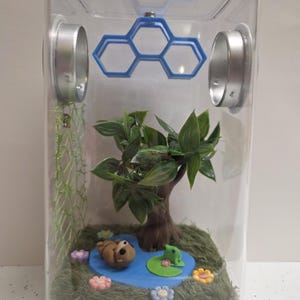 Jumping Spider Enclosure