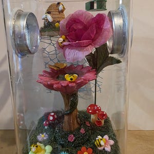 Jumping Spider Enclosure