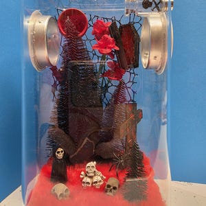 Jumping Spider Enclosure