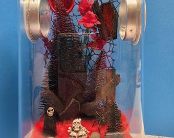 Jumping Spider Enclosure