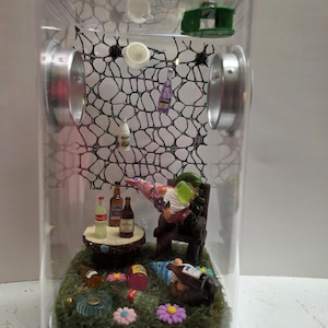 Jumping Spider Enclosure