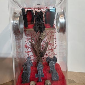 Jumping Spider Enclosure