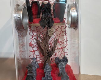 Jumping Spider Enclosure