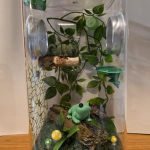Jumping Spider Enclosure