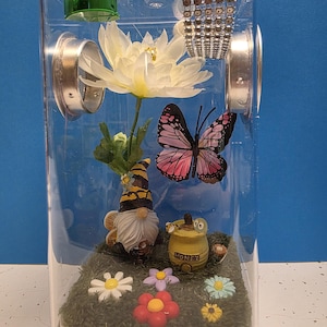 Jumping Spider Enclosure