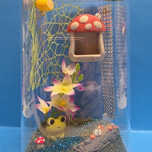 Jumping Spider Enclosure