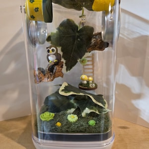 Jumping Spider Enclosure
