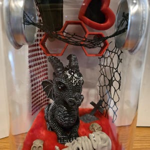 Jumping Spider Enclosure