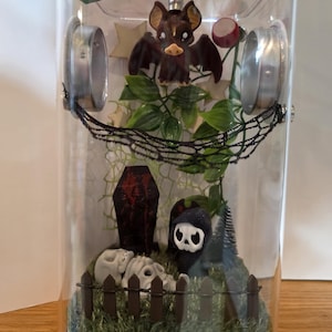Jumping Spider Enclosure