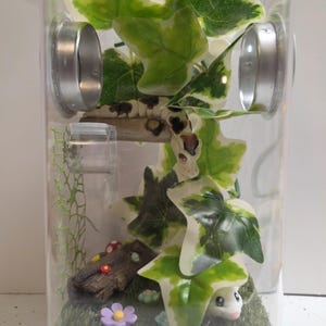 Jumping Spider Enclosure