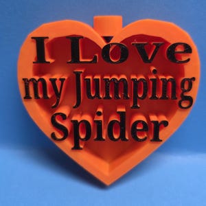 Jumping Spider Hides