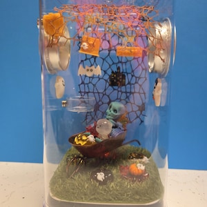 Jumping Spider Enclosure