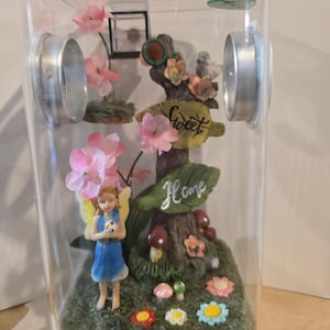 Jumping Spider Enclosure