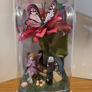 Jumping Spider Enclosure