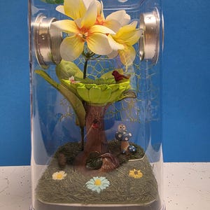Jumping Spider Enclosure