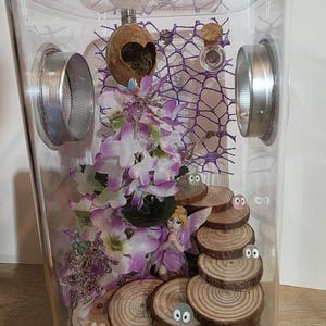 Jumping Spider Enclosure