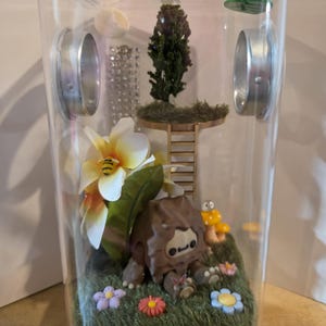 Jumping Spider Enclosure
