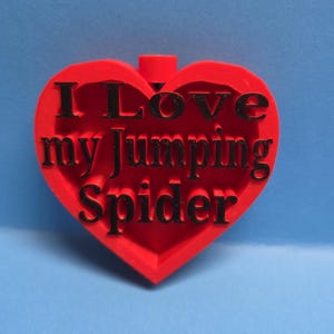 Jumping Spider Hides