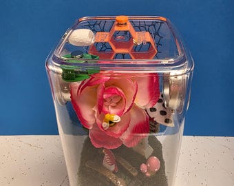 Jumping Spider Enclosure