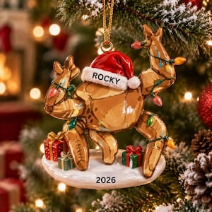 May include: A tan crab Christmas ornament wearing a red and white Santa hat with the name ROCKY printed on the brim. The crab is wrapped in colourful string lights and stands on a white base with two small gift boxes and the year 2026 printed.