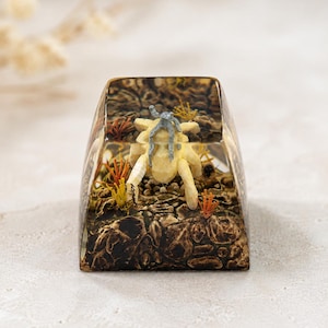 May include: A clear resin mechanical keyboard keycap featuring an encapsulated miniature scene of a pale, multi-legged creature with a grey top sitting on a textured, dark brown rocky terrain with small orange and yellow plant-like structures.