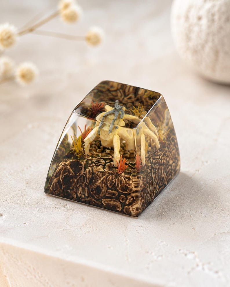 May include: A clear resin mechanical keyboard keycap featuring an encapsulated miniature scene of a pale, multi-legged creature resembling a crab resting on a textured, dark brown rocky terrain with small, thin orange and yellow plant-like accents.