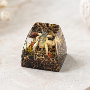 May include: A clear resin mechanical keyboard keycap featuring an embedded miniature scene of a light-colored crab with a small grey figure on its back, surrounded by textured brown ground, orange and yellow aquatic plants, and rocky details.