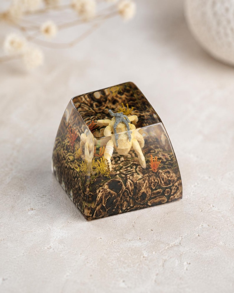 May include: A clear resin mechanical keyboard keycap featuring an embedded miniature scene of a light-colored crab with a grey shell on its back, surrounded by small orange and yellow coral-like structures set against a dark, textured seabed.