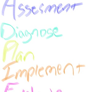 Może przedstawiać: Białe tło z napisem "Assessment, Diagnose, Plan, Implement, Evaluate" w r&oacute;żnych kolorach. Słowa są napisane kursywą, każde słowo w innym kolorze.