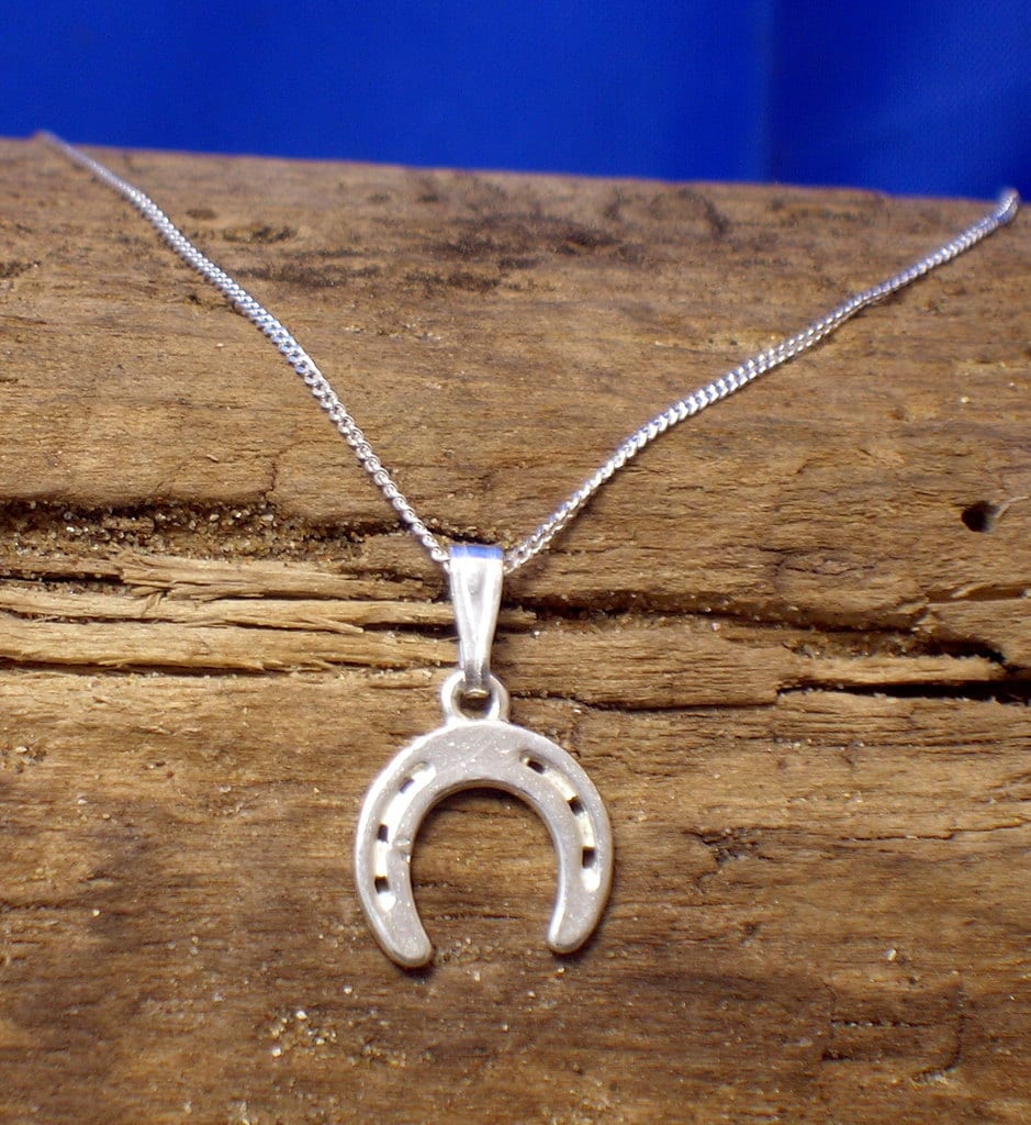 Snake chain pattern sterling silver horseshoe pendant and necklace |  Sterling silver | Pandora IE