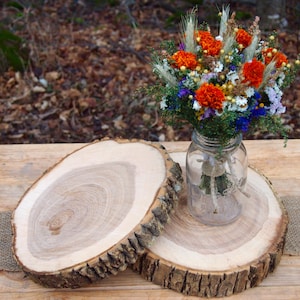 Thick Natural Wood Slice Brown Bark Cake Stand, Wedding Centerpiece Wood Slabs, 3 to 16 Inch Wood Rounds