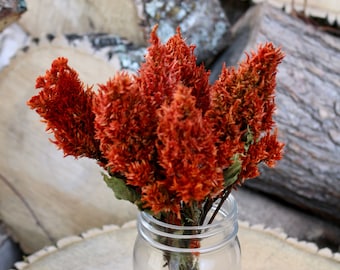 Dried Orange Celosia Flower Bunch - Dried Flowers - Autumn Decor - Dry Flowers