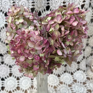 Dried Hydrangea Bunch: Natural Quick Fire Fab Flowers, 3 Stems