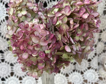 Dried Hydrangea Bunch: Natural Quick Fire Fab Flowers, 3 Stems