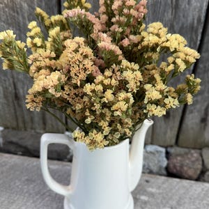 May include: A bouquet of dried statice flowers in shades of pale yellow and soft pink arranged in a white ceramic pitcher. The pitcher features a curved handle and a spout, holding the dense cluster of small, textured blossoms upright.