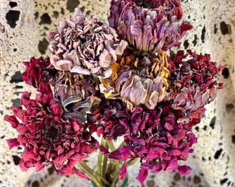 Large Dried Aurora Zinnia Bouquet - 10 Stems