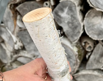 White Birch Log Branch 12 inch Natural Birch Wood, DIY Table Decor Centerpiece